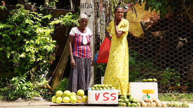 visitar Sri Lanka